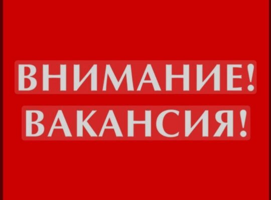 Работа на фрилансе