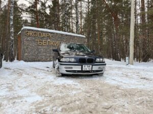 https://auto.drom.ru/sosnovoborsk/bmw/3-series/519