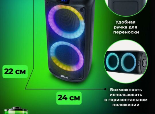 портативная колонка RITMIX, Чёрная