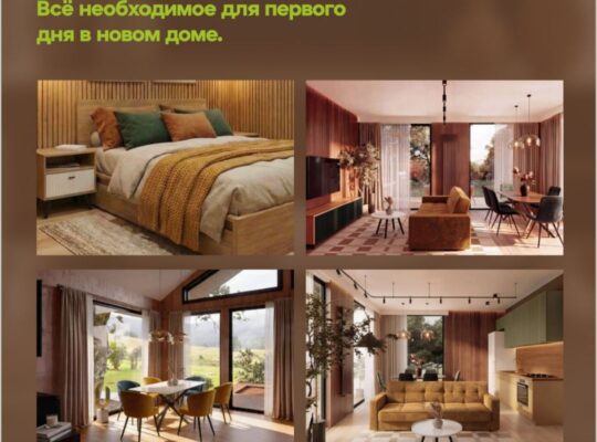 Каркасный дом акция
