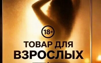 Все нейросети навсегда. Бесплатно